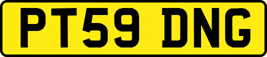 PT59DNG