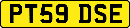 PT59DSE