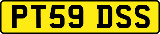 PT59DSS