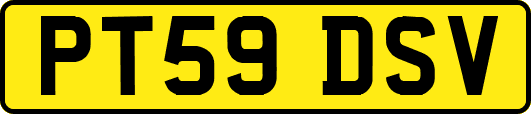 PT59DSV