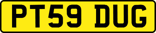 PT59DUG