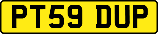 PT59DUP