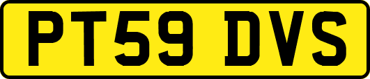 PT59DVS
