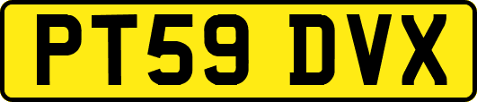 PT59DVX