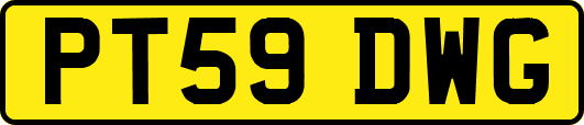 PT59DWG