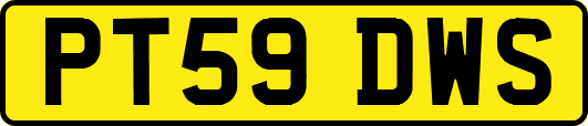 PT59DWS