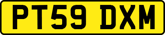 PT59DXM