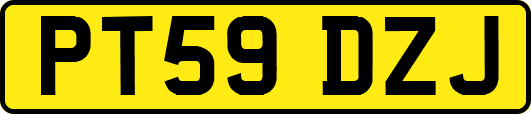 PT59DZJ
