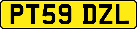 PT59DZL