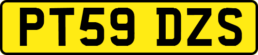 PT59DZS
