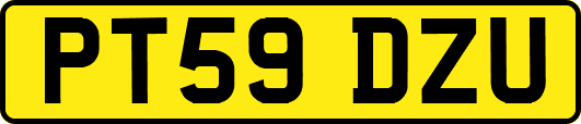 PT59DZU