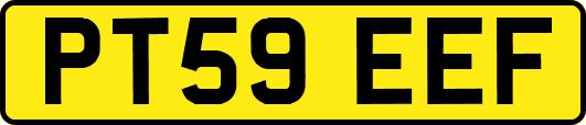 PT59EEF