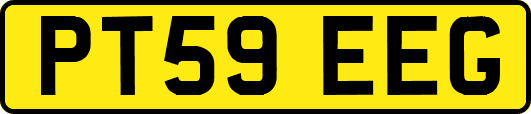 PT59EEG