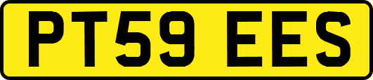 PT59EES