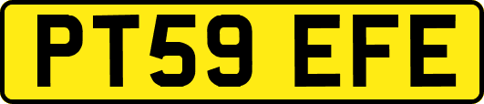 PT59EFE