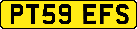 PT59EFS