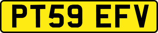PT59EFV