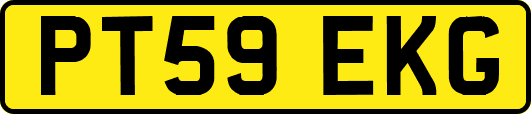 PT59EKG