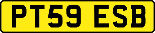 PT59ESB