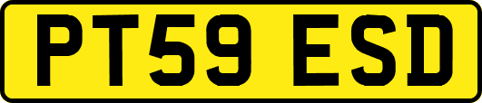 PT59ESD