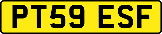 PT59ESF