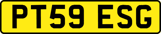 PT59ESG