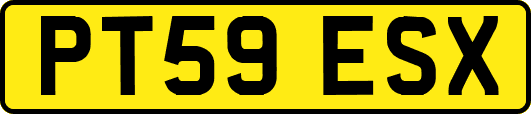 PT59ESX