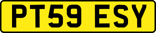 PT59ESY