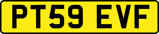 PT59EVF