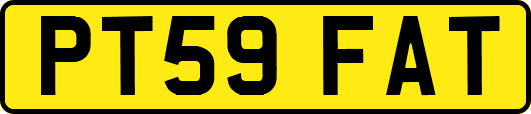 PT59FAT