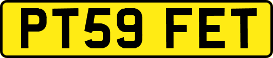 PT59FET