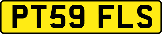PT59FLS