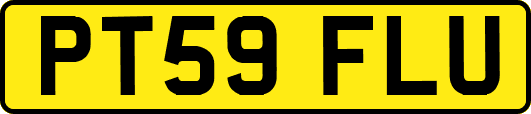PT59FLU