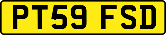 PT59FSD