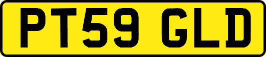 PT59GLD