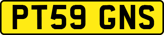 PT59GNS