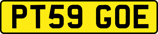 PT59GOE