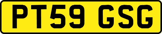 PT59GSG