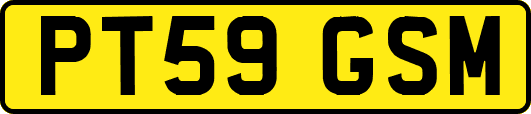 PT59GSM