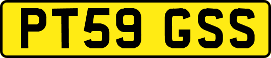 PT59GSS