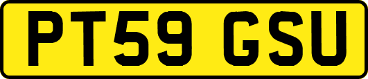 PT59GSU