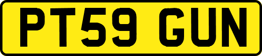 PT59GUN