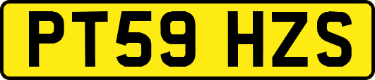 PT59HZS