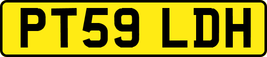 PT59LDH