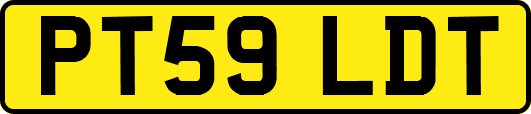 PT59LDT