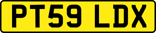 PT59LDX