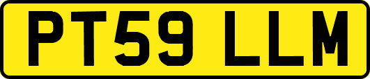 PT59LLM