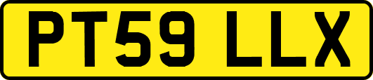 PT59LLX
