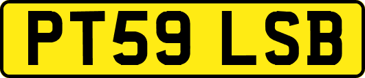 PT59LSB