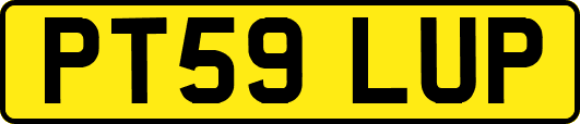 PT59LUP